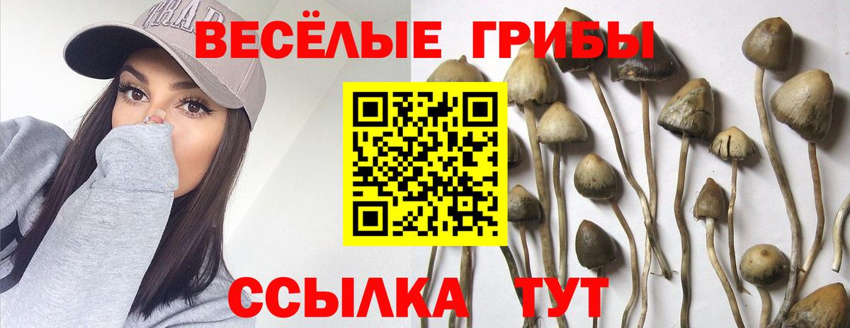купить закладку  Галлюциногенные грибы мицелий  Вход с VPN  Ялуторовск 